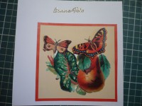 /album/cartes-3d/carte-d32d52f9fb-big-jpg/